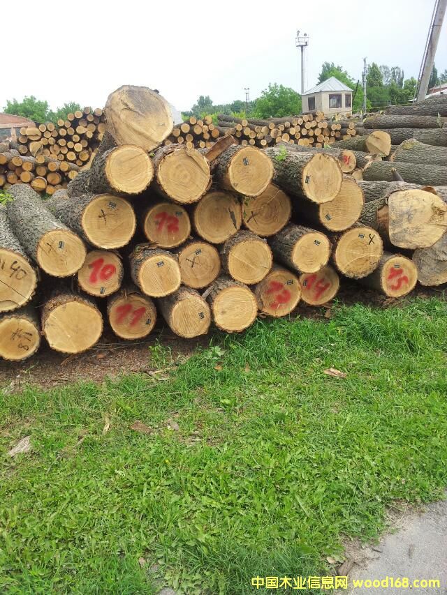 ��ľ��Ԕ����B