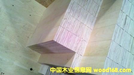 �Ϸ���ľ�������ϣ����У���Ԕ����B