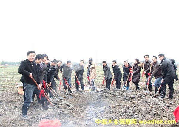 �Ϻ����Sľ�I(y��)�����ɆTһ��]�P���Ŀ���