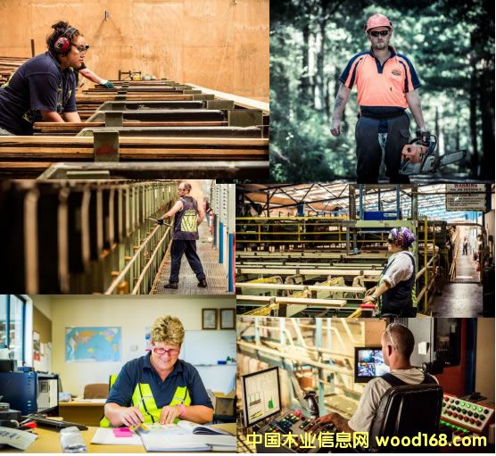 �����m�ɵļ҈@�����׸���ľ���޹�˾