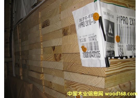 �����Ϸ��ɵȼ�#1 Pro