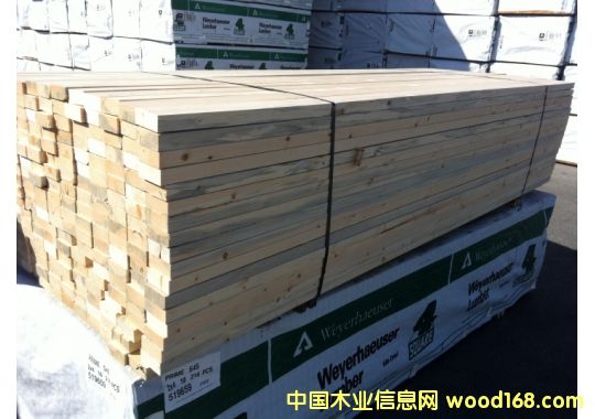 SPF����ɼ-��-�FɼPrime�ȼ�