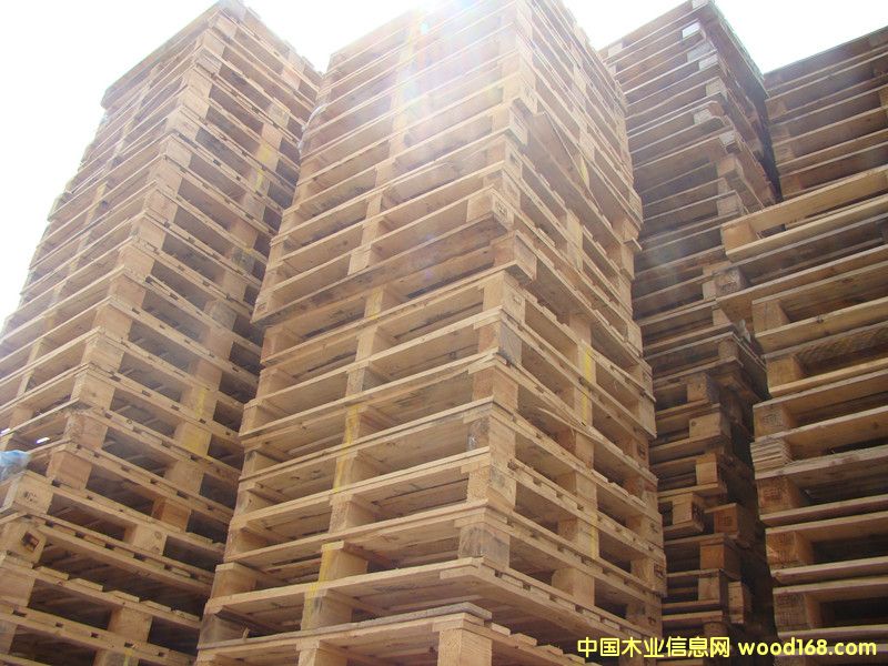 ����ľ�|(zh��)�бP(p��n)