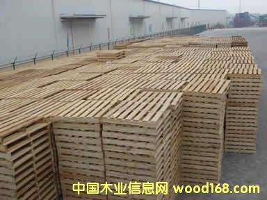 ľ�бP5��Ԕ��(x��)��B