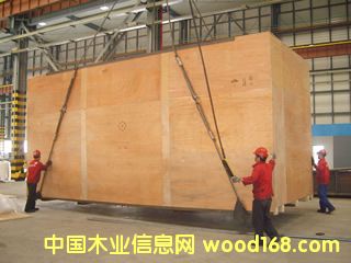 �Ϻ��h���R���(zh��n)���bľ��ľ�бP