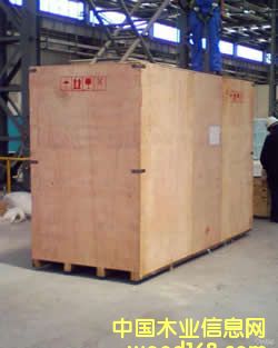 �Ϻ��h���A���(zh��n)���bľ��ľ�бP