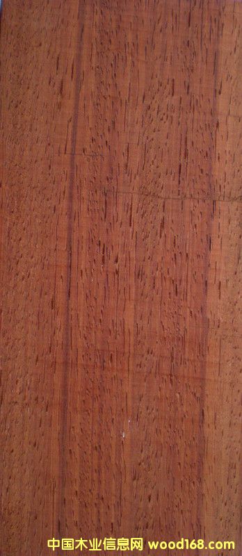 �t�����Ԕ��(x��)��B