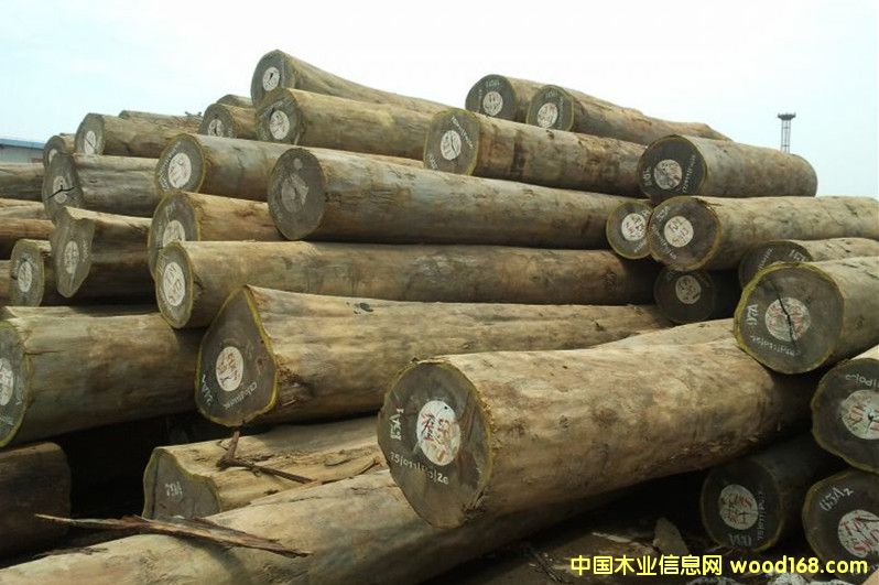 ����ľ����Ԕ��(x��)��B