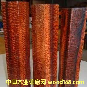 �߼yľ��Ԕ��(x��)��B