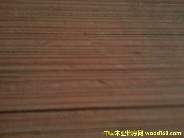 ��ľ���Ӱ��Ԕ��(x��)��B