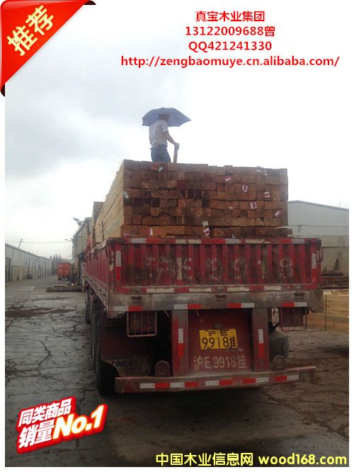 �Fɼľ����Ԕ��(x��)��B