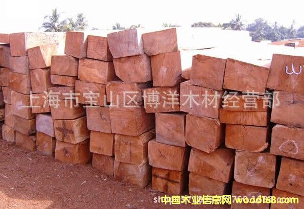 ���������޻����Ԕ����B