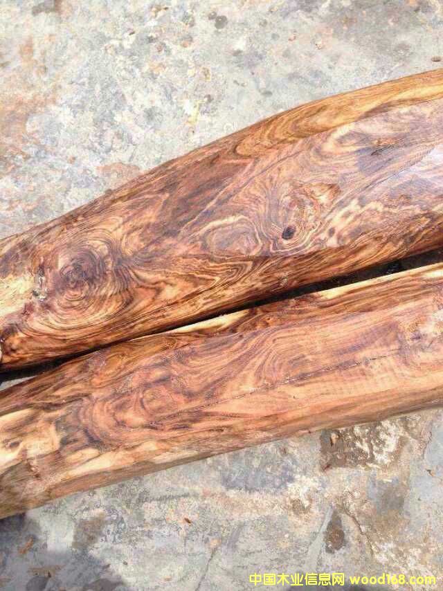 Խ���S�����Ԕ����B