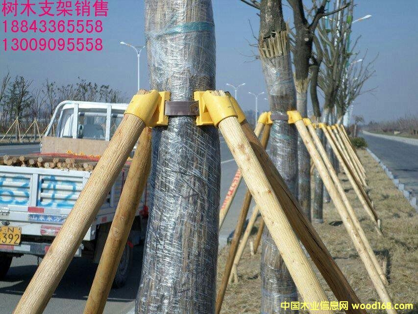 ��ľ֧�ܵ�Ԕ��(x��)��B