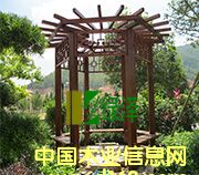 ��(h��)��̼��ľ��ͤ��Ԕ��(x��)��B