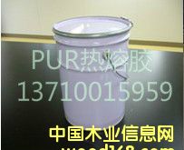 PUR�����z��Ԕ����B