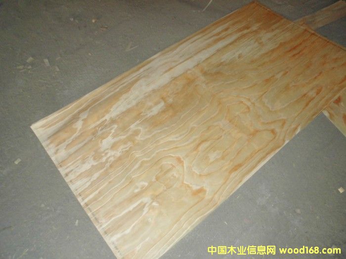 ݗ������Ƥ(����ģ����Ƥ)