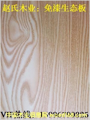 ��ɼľ�������B(t��i)��