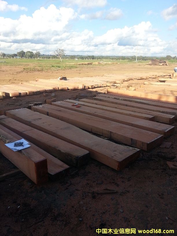 ���������Ԕ��(x��)��B