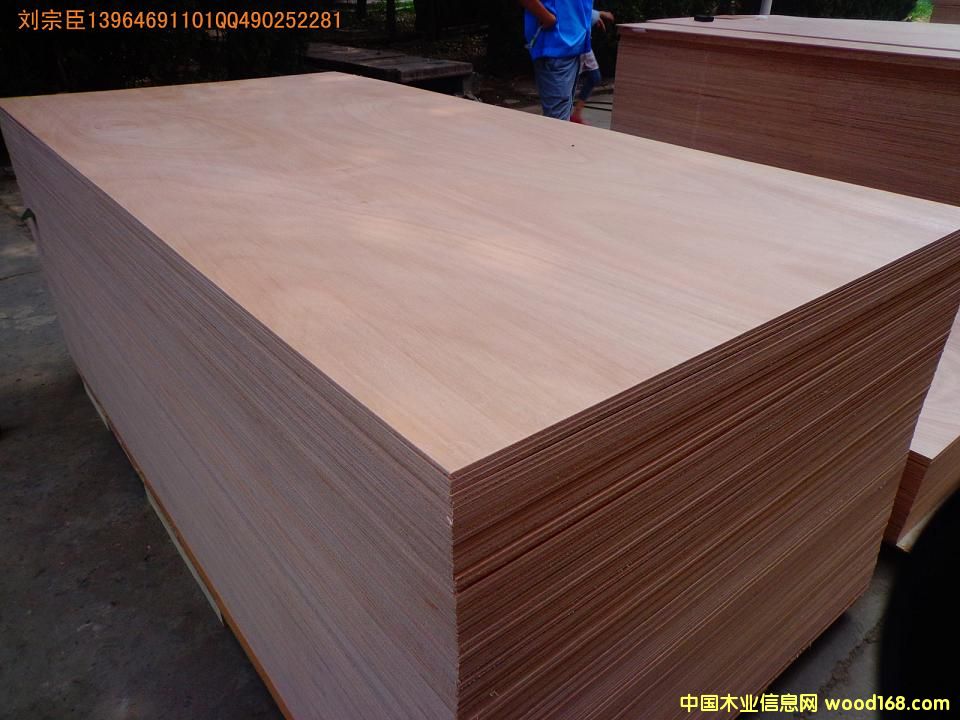 ��ľ�z�ϰ��Ԕ����B