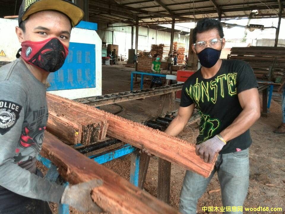 柳桉鋸材的詳細(xì)介紹