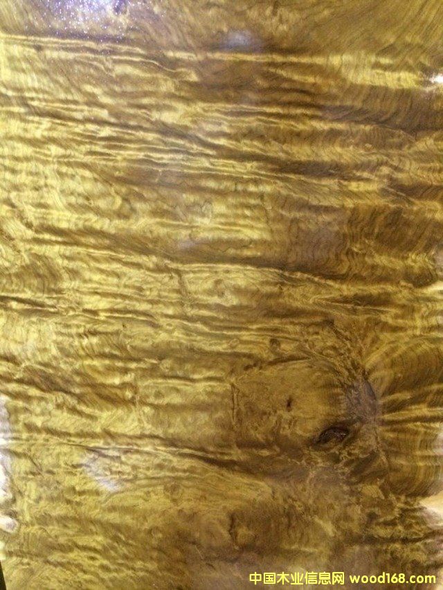 ��z骼Ҿ������l(f��)��Ԕ��(x��)��B