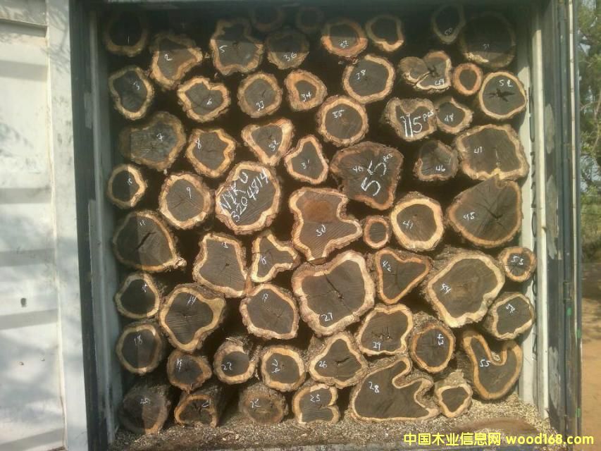 �Ϲ�̴����ľ��Ԕ��(x��)��B