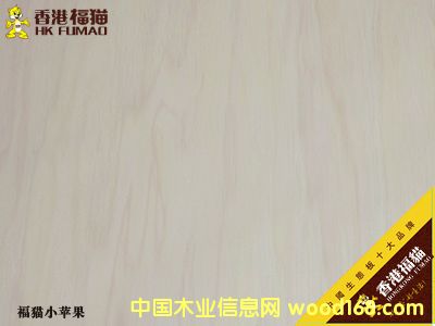 ��۸�؈С�O��2��Ԕ��(x��)��B