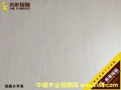 ��۸�؈С�O��3��Ԕ��(x��)��B