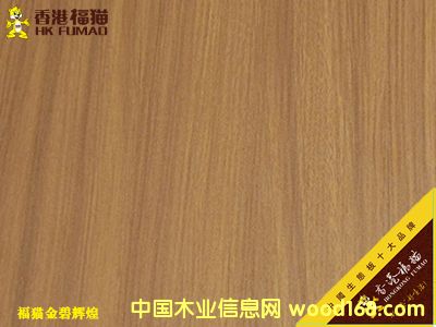 ��۸�؈����x��