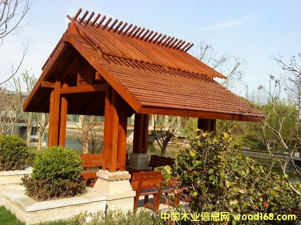 ����˹���T����˹