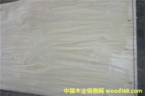 ��ľ�ΰ��Ԕ����B