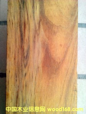 �S�����Ԕ����B