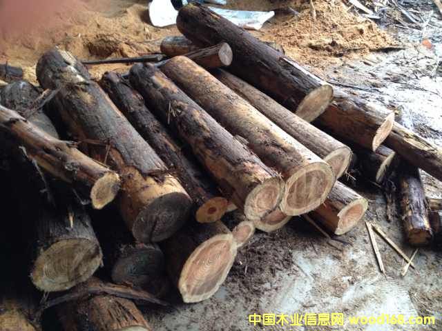 [��] ��ُ�ձ�ɼľ���҂�һ��؛Դ��ɼ���