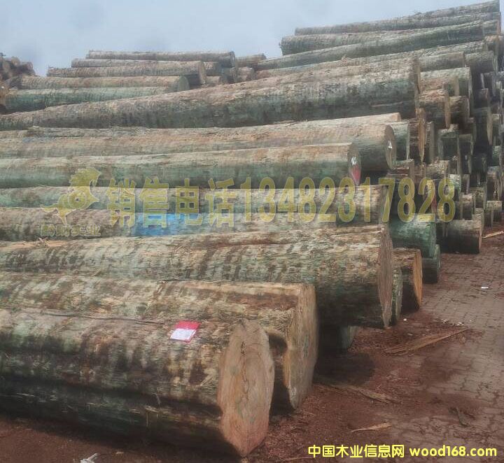 �M��ԭľ�Aľ ����