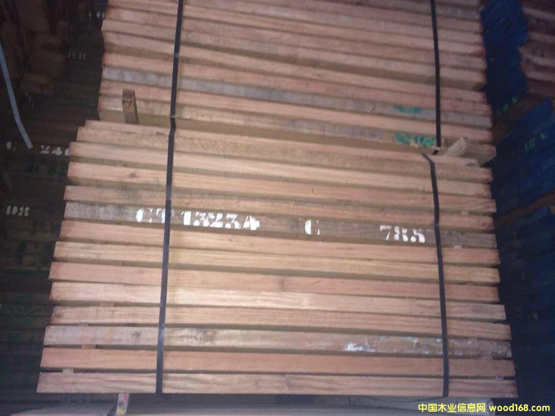 �t���R /RED BELI