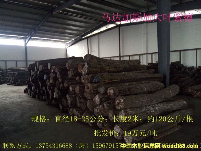 ���~��̴��Ԕ��(x��)��B