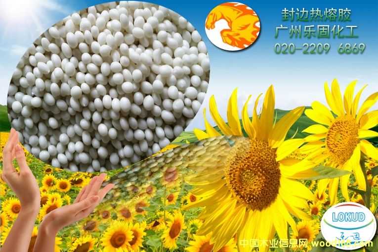 �ܶȰ��߅�����z��Ԕ��(x��)��B