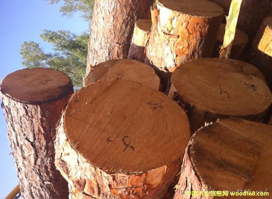 �����m������ԭľ��Ԕ��(x��)��B