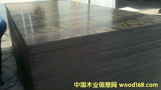 ӡ�ָ�Ĥ����ģ��