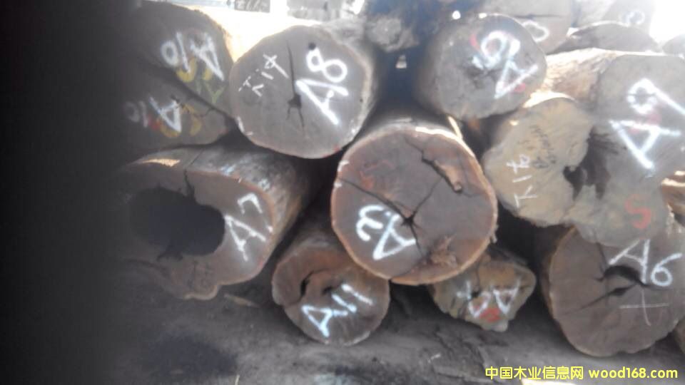 ���_�T��̴��Ԕ��(x��)��B