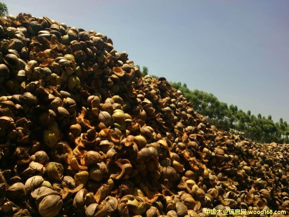 Ҭ������Ҭ��Ԕ��(x��)��B