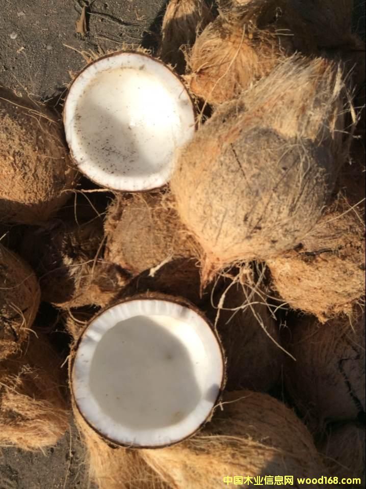 Ҭ�����Ԕ��(x��)��B