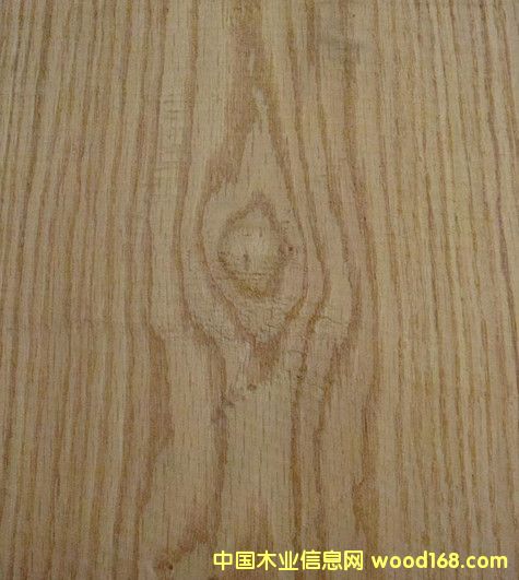 ��ľ��Ԕ����B