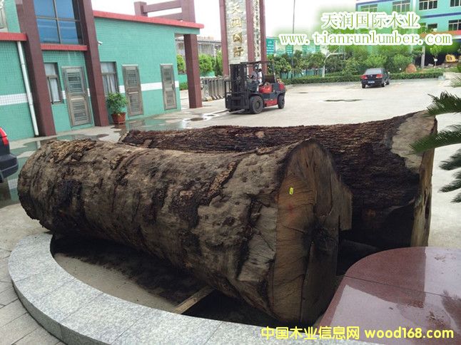 ԭľ��Ԕ����B