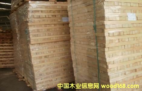 �M�����zľ�ٹ���