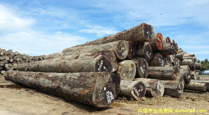 ���}���Ԕ��(x��)��B