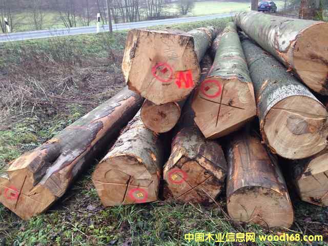 ��䏲ļ���ľԭľ��Ԕ��(x��)��B