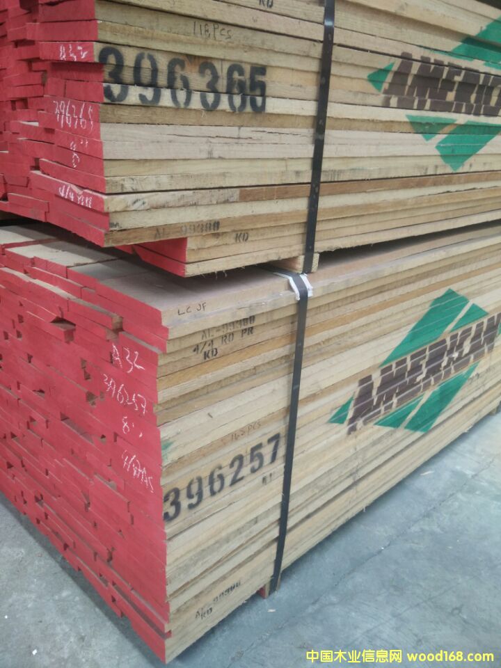 紅橡的詳細(xì)介紹