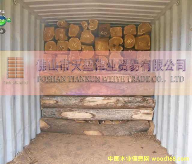 �����̴��Ԕ����B